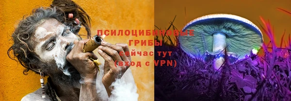 молекула духа Алексеевка