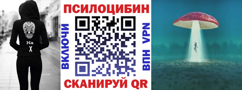 Псилоцибиновые грибы Psilocybine cubensis  где купить   Кемерово 